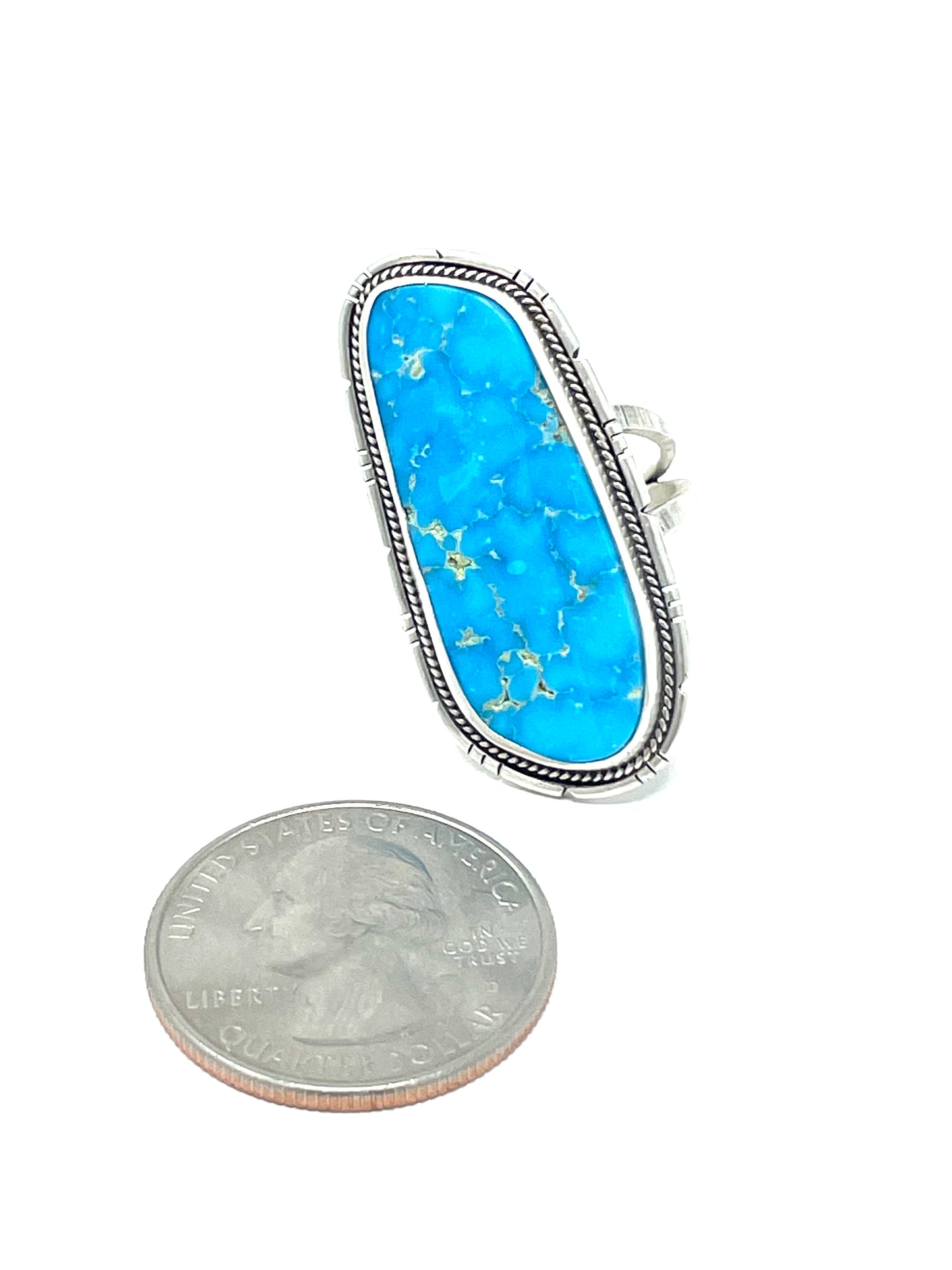 Bluebird Turquoise Statement Ring - size 7